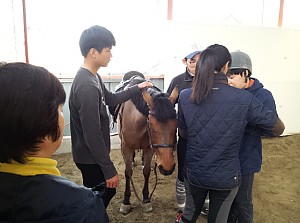 장애인 승마교실  실시