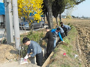 재가 장애인가정 울타리용 나무 식수