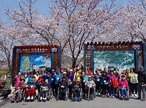 봄의 향기(해미천 벚꽃 구경)